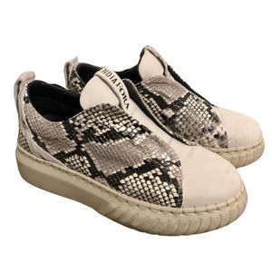 Andia Fora Snake Print Sneakers, EU Size 37